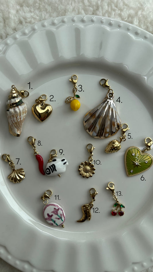 CHARMS