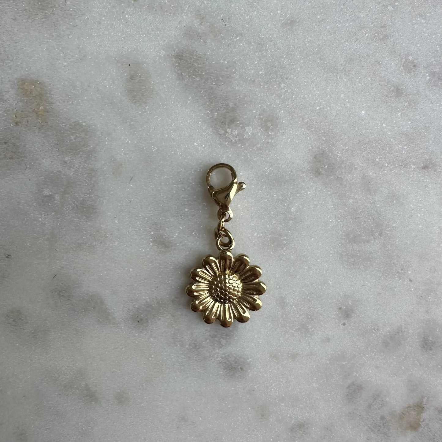 CHARMS